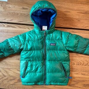 Patagonia Down Hoody